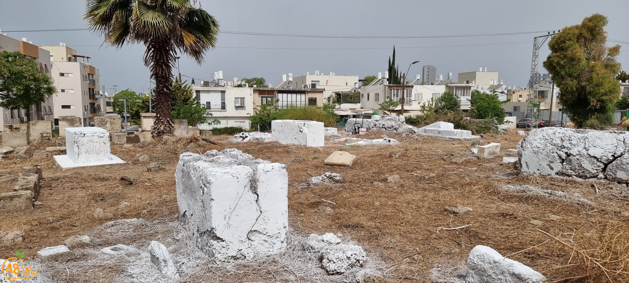  حملة لتنظيف مقبرة الشيخ مراد بيافا 